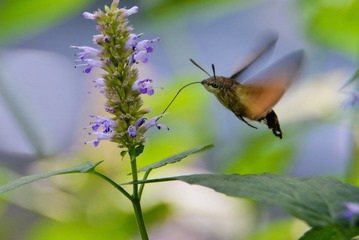 20120911-20120911-DSC_0329.jpg