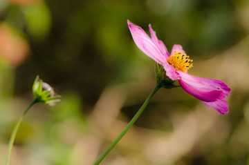 20121031-_DSC3130.jpg