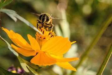 20121031-_DSC3133.jpg
