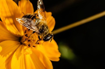 20121031-_DSC3136.jpg