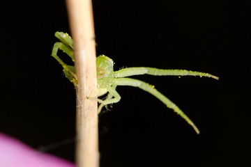 20121031-_DSC3146.jpg