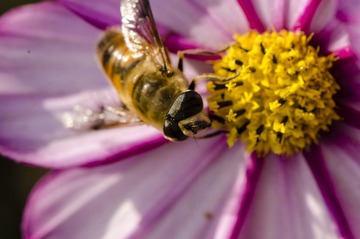 20121031-_DSC3163.jpg
