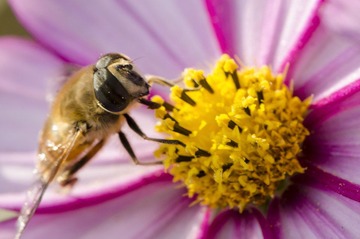 20121031-_DSC3167.jpg