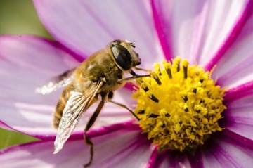 20121031-_DSC3171.jpg