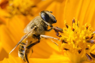 20121031-_DSC3187.jpg