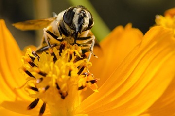 20121031-_DSC3190.jpg