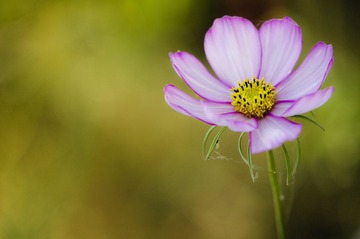 20121031-_DSC3226.jpg