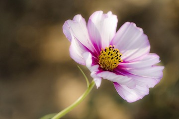 20121031-_DSC3237.jpg
