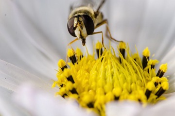 20121031-_DSC3244.jpg