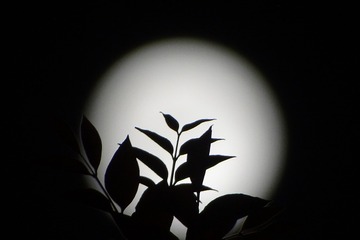 853C903E-94F8-4361-BA7A-5DF0B38B4AC7/L0/001