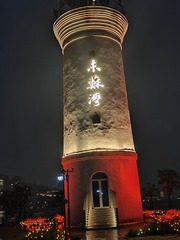 1000013263
