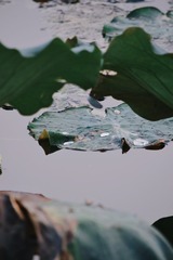 B8F15029-6D9B-4BC0-A638-C619614A9E08/L0/001