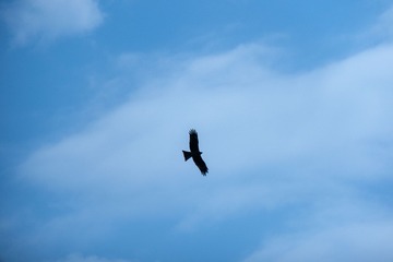 67243447-AEF1-4A7E-9E79-97200E7FC7C6/L0/001