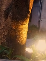 1308309