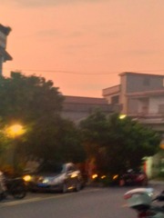 1308308