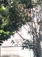 1308195