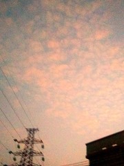 1308305