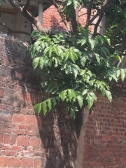 1308240