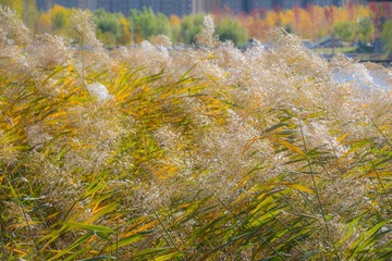 D2200657-4504-4BB8-BC2B-16DDA4AAD667/L0/001