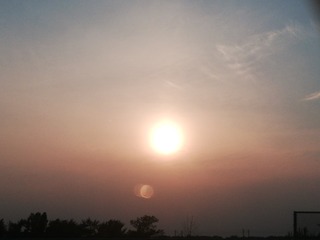 1625393