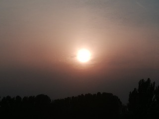 1625411
