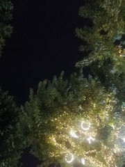 1639076
