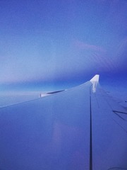 787