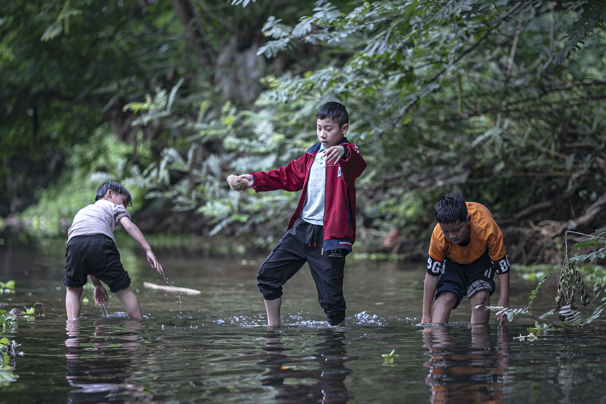 童年时光里最开心的莫过于和玩伴们一起戏水捉鱼摸田螺要是能回到从前