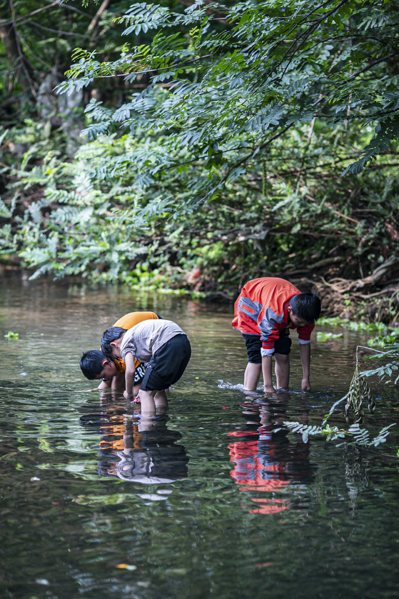童年时光里最开心的莫过于和玩伴们一起戏水捉鱼摸田螺要是能回到从前