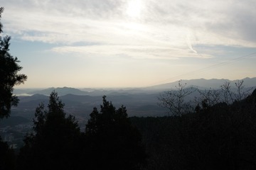 1000141564