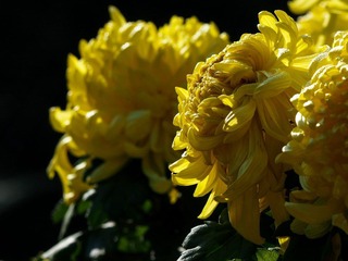 PB132498.jpg