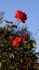 254576DB-678B-4037-B192-099FBDAC4DAB/L0/001