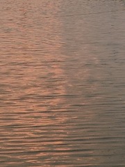 1000023079