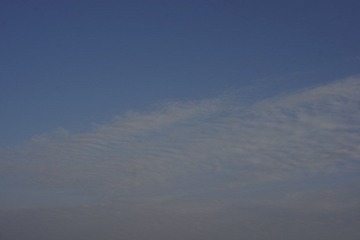 _DSC6117.JPG