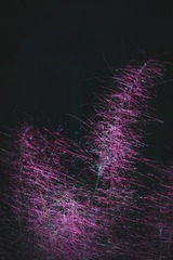 1000084534