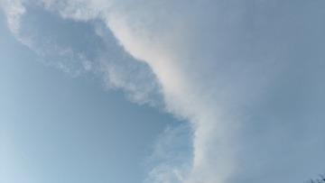 1000006244