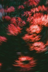 2B6AB82D-E155-42F0-B615-FF83113E3D3A/L0/001