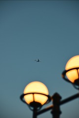 D97FE306-E48C-43AF-A4B3-4D10660EF7F8/L0/001