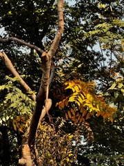 16430846-554E-45BF-A9A7-00909FD87371/L0/001