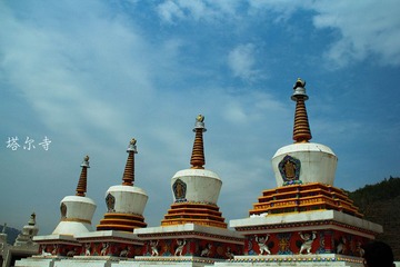 img_3152-1_副本.jpg