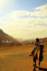 IMG_3904-1_副本.jpg
