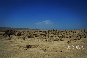 IMG_4043-1_副本.jpg