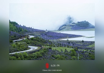1000010336