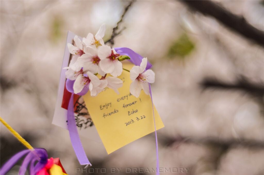 20130322-DSC_0056<br />