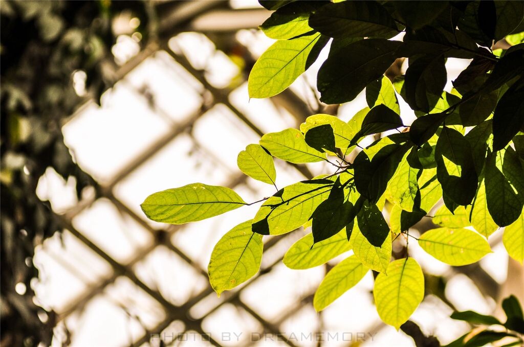 20130330-DSC_0093<br />