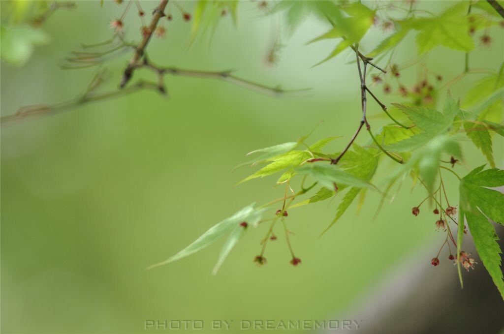 20130330-DSC_0220<br />