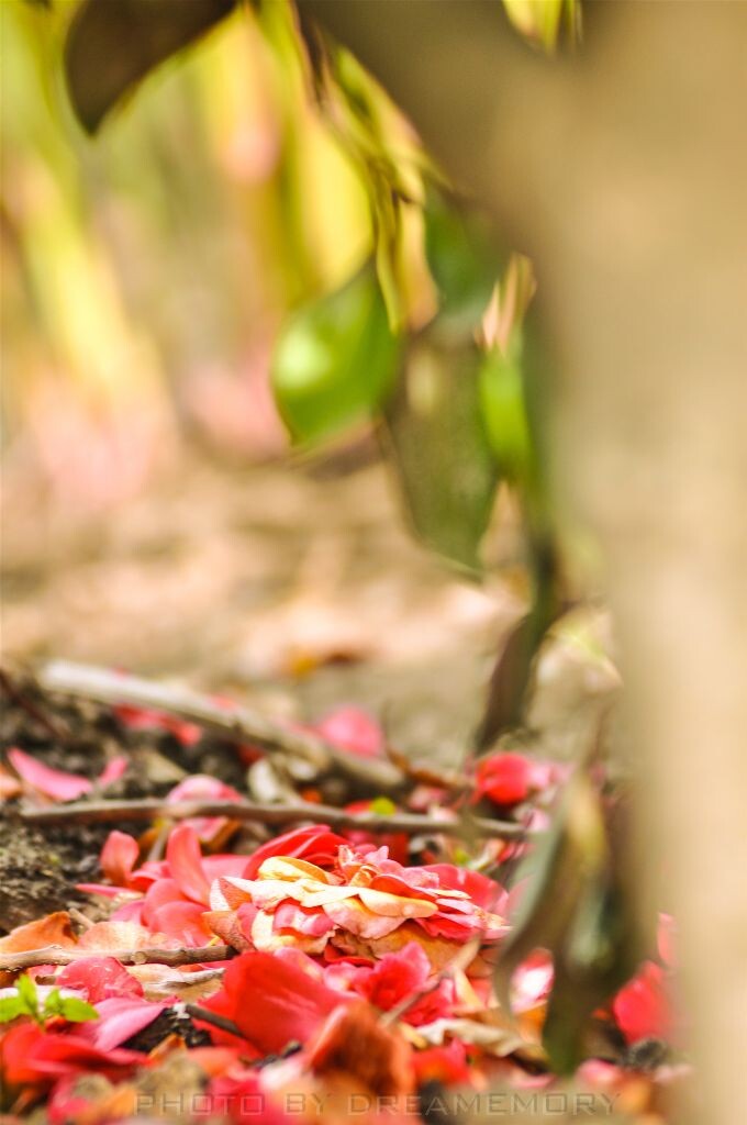 20130330-DSC_0230<br />
