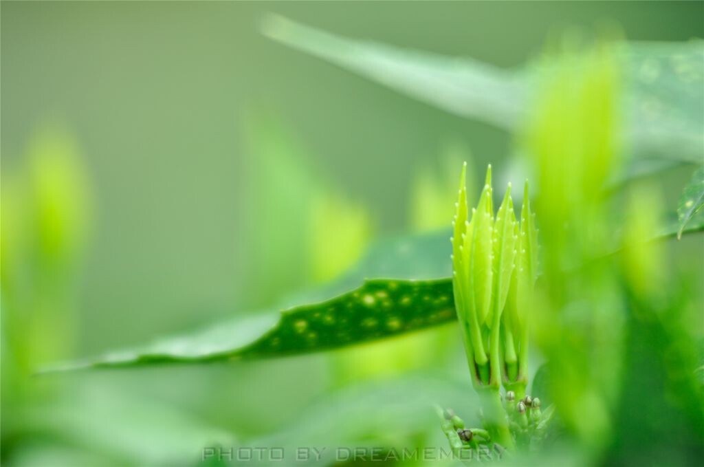 20130330-DSC_0241<br />