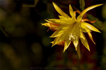 20130330-DSC_0126.jpg