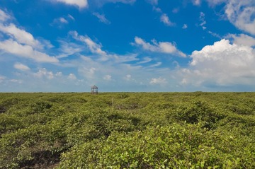 20130531-DSC_0092.jpg